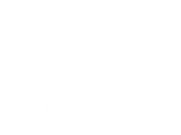 MiVida